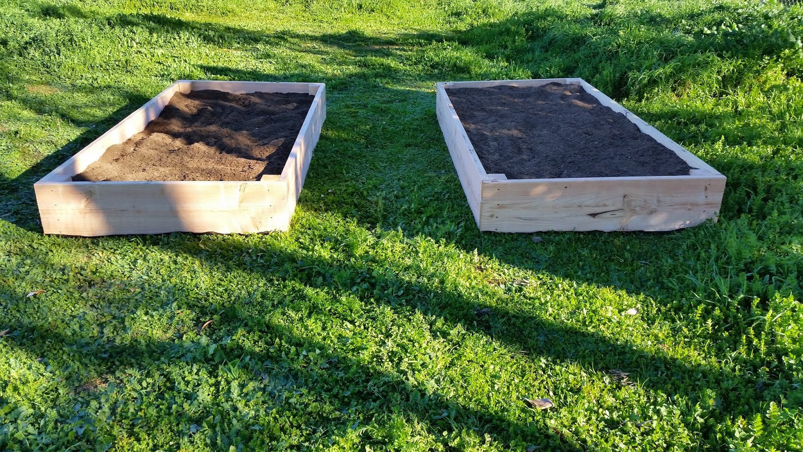 BUILD YOUR OWN RAISED BEDS