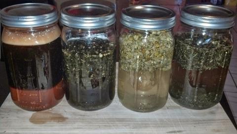 Making Your Own Herbal Remedies