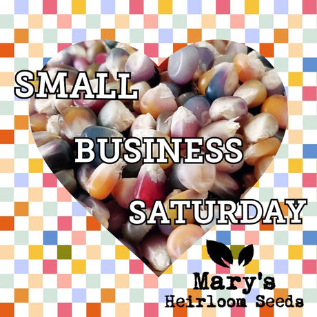 Small Business Saturday 2023 at Mary's Heirloom Seeds