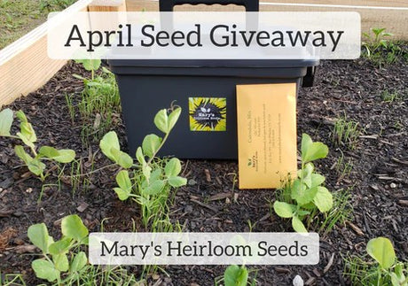 April Celebration Seed Giveaway