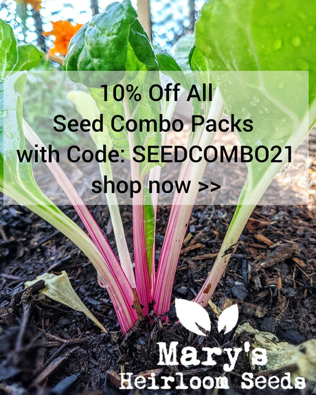 Seed Sale, Back in Stock Items & a Discount Code