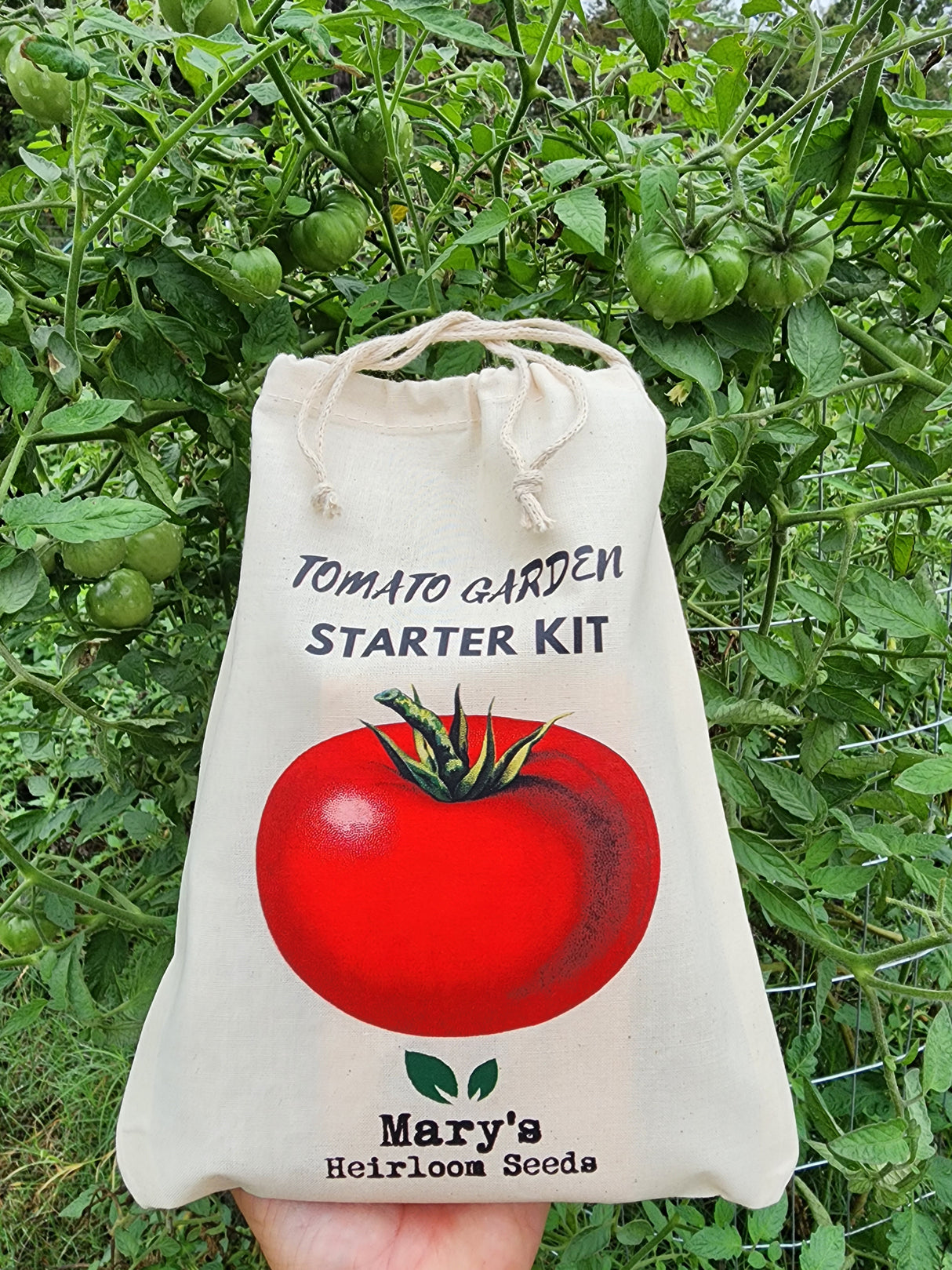 Tomato Garden Starter Kit