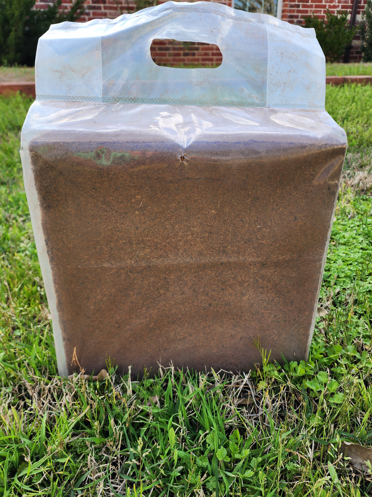 XL Coconut Coir Brick - New