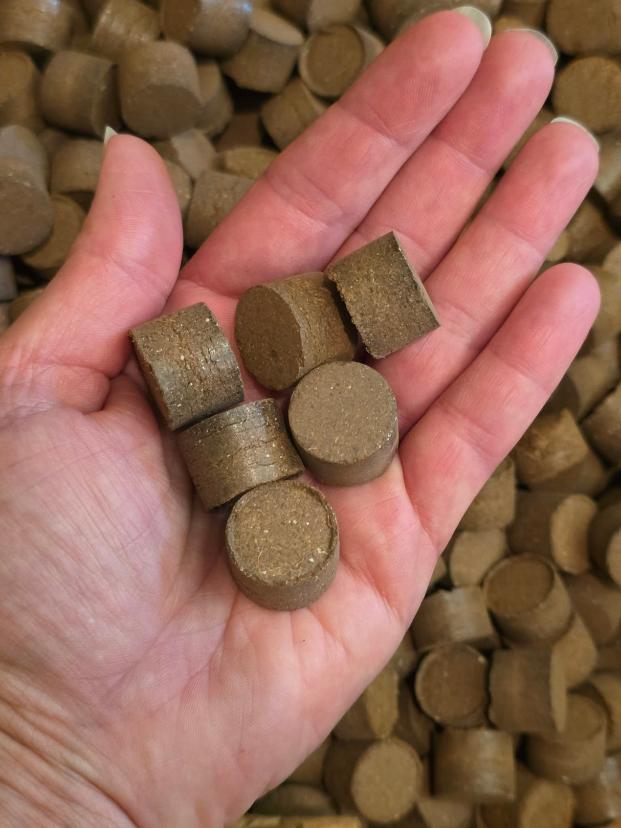 3/4 inch Seed Starting Pucks