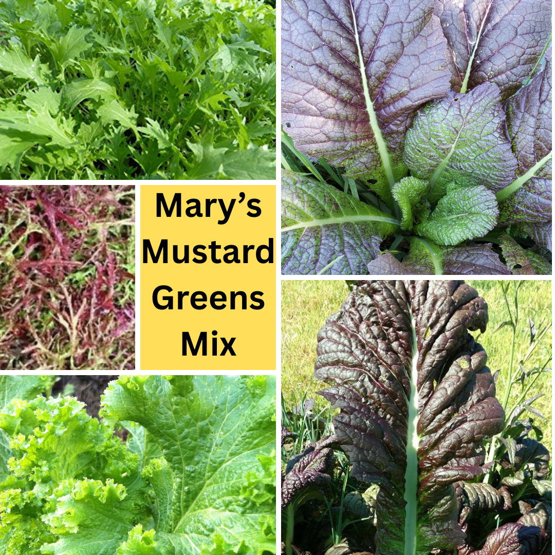 Mary's Mustard Greens MIX