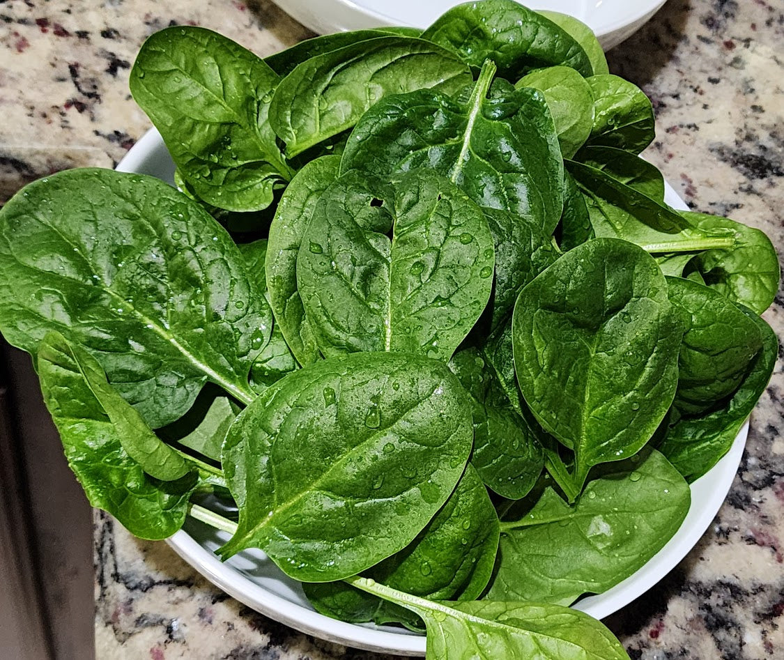 Matador Viking Spinach
