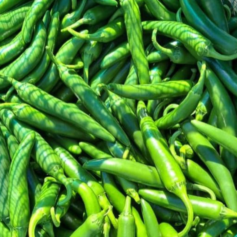 Serrano Huasteca Pepper