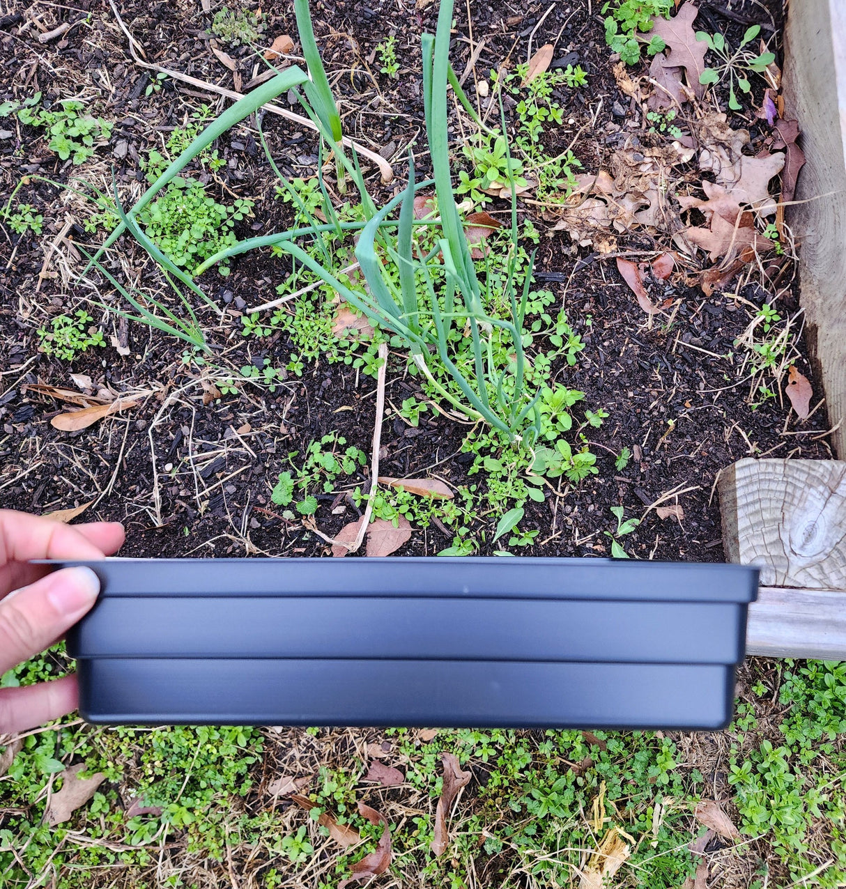 10X10 Growing Trays