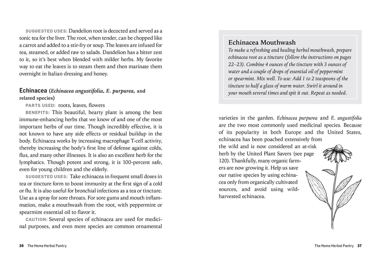 Herbs For Common Ailments book