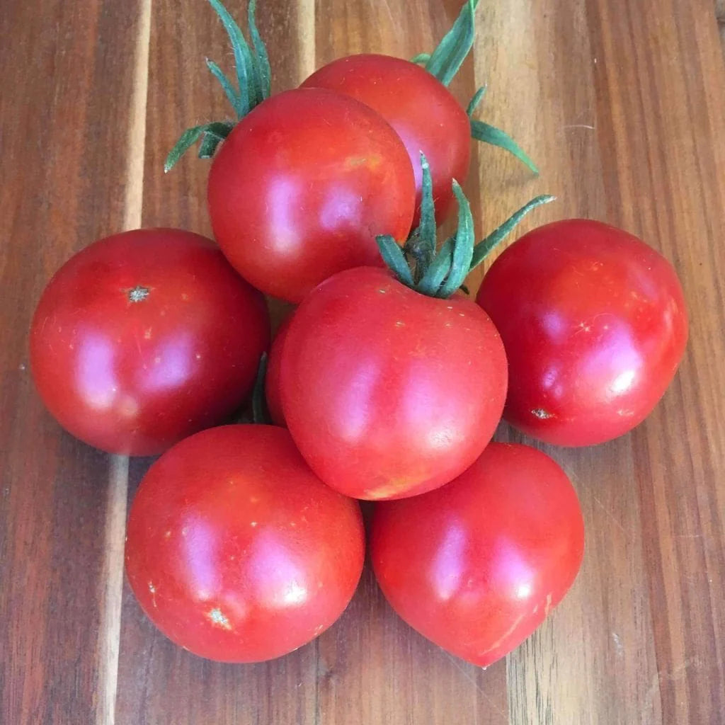 New Yorker Tomato