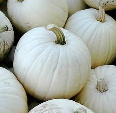 White Queen Pumpkin