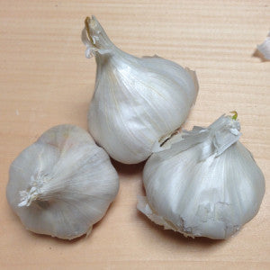 1 bulb - California Early White Seed Garlic