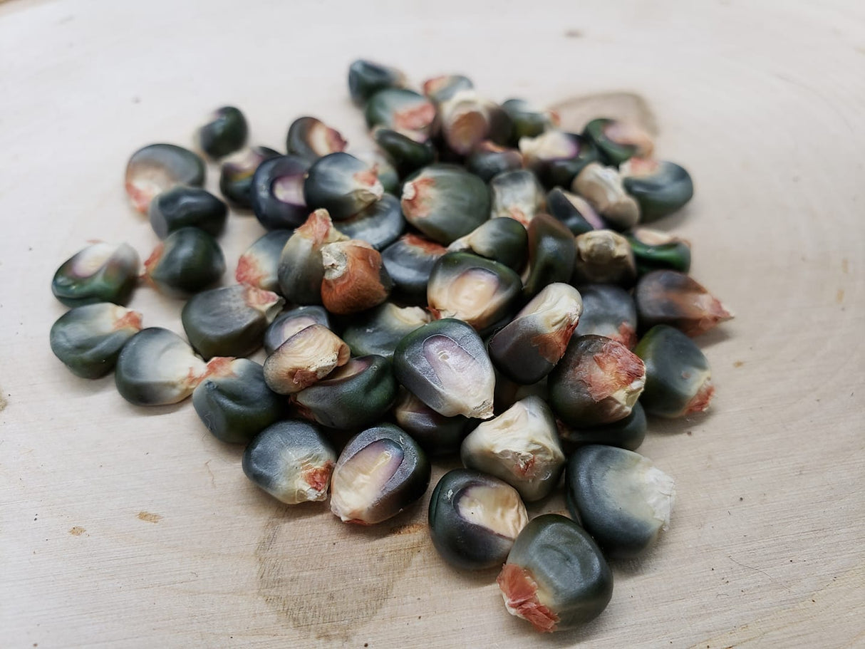 Oaxacan Green Corn