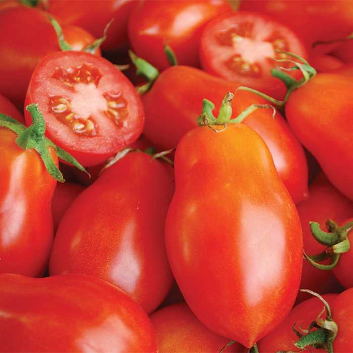 Martino's Roma Tomato