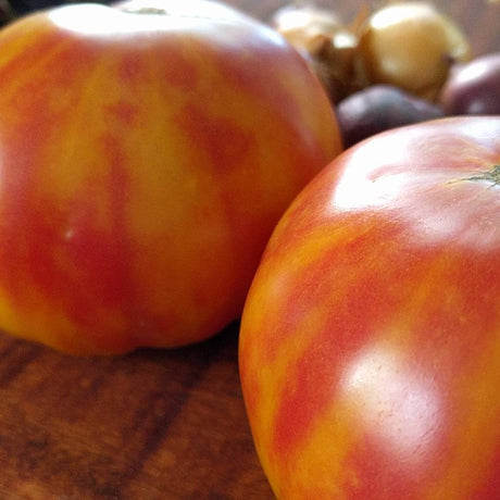 Mr. Stripey Tomato