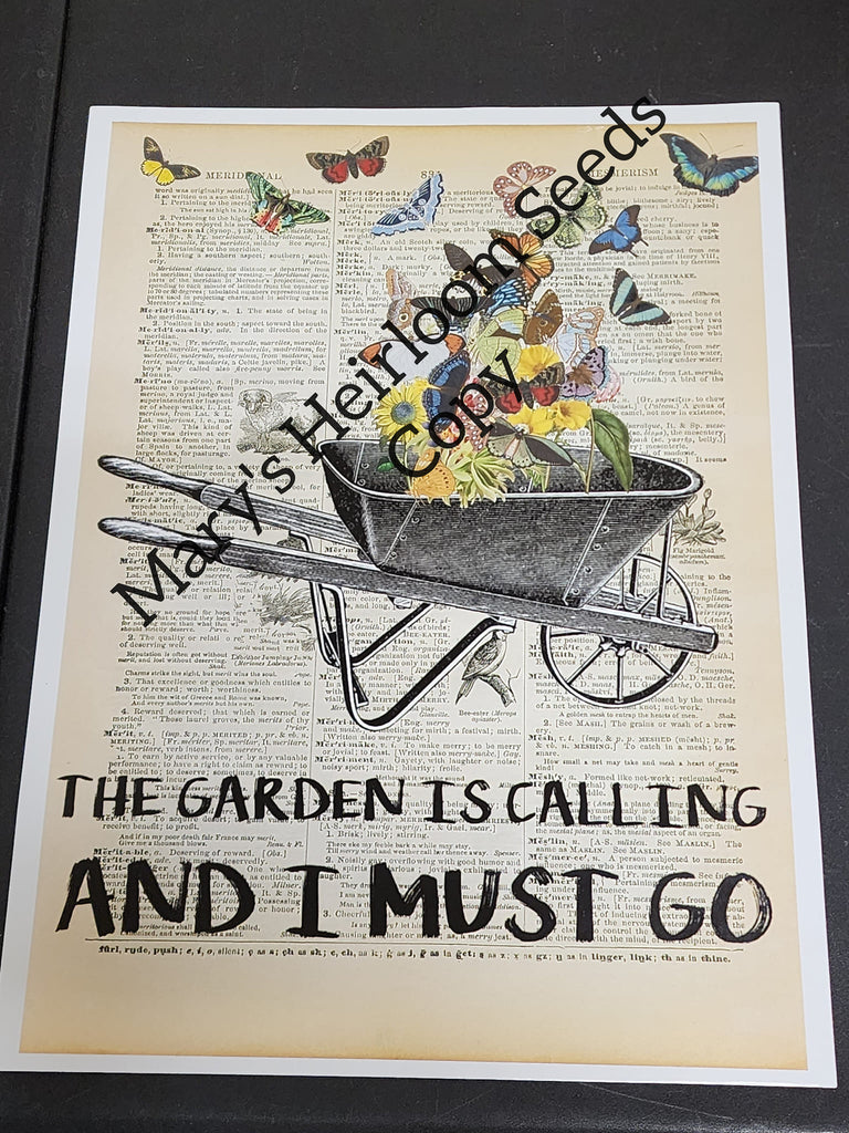 Garden Poster