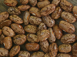 Red Striped Greasy Snap Bean