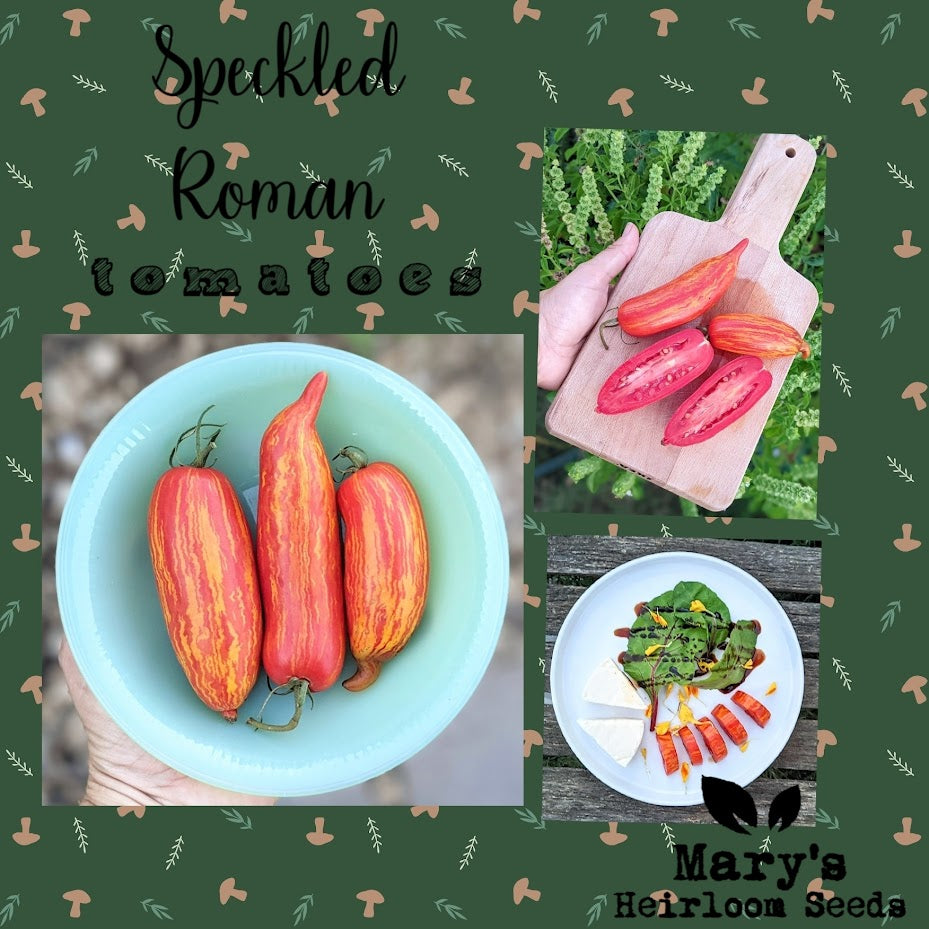 Speckled Roman Tomato