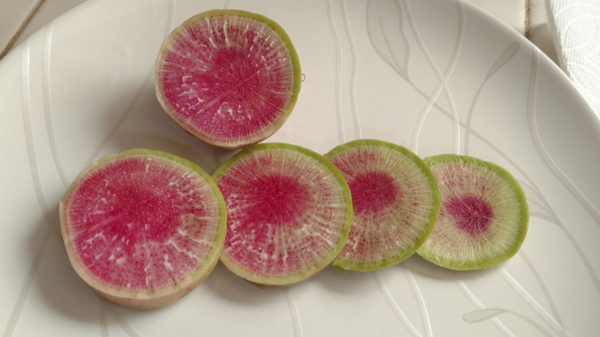 Watermelon Radish