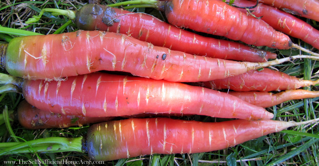 Atomic Red Carrots