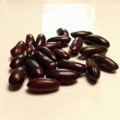 Fortex Pole Bean