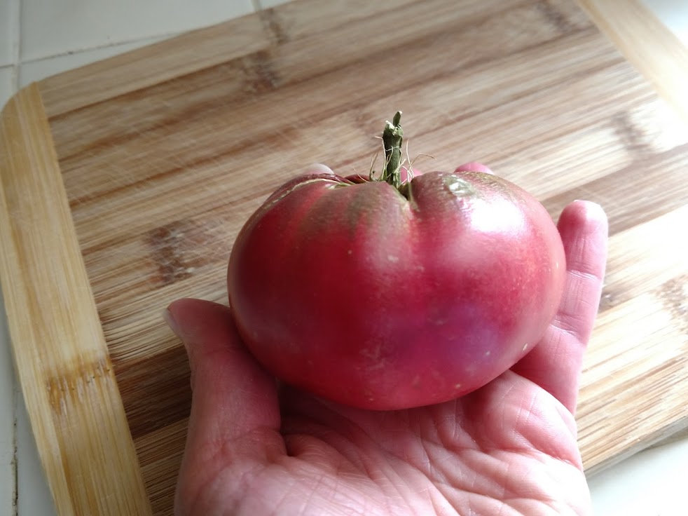 Cherokee Purple Tomato