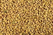 Fenugreek Sprouting Seeds