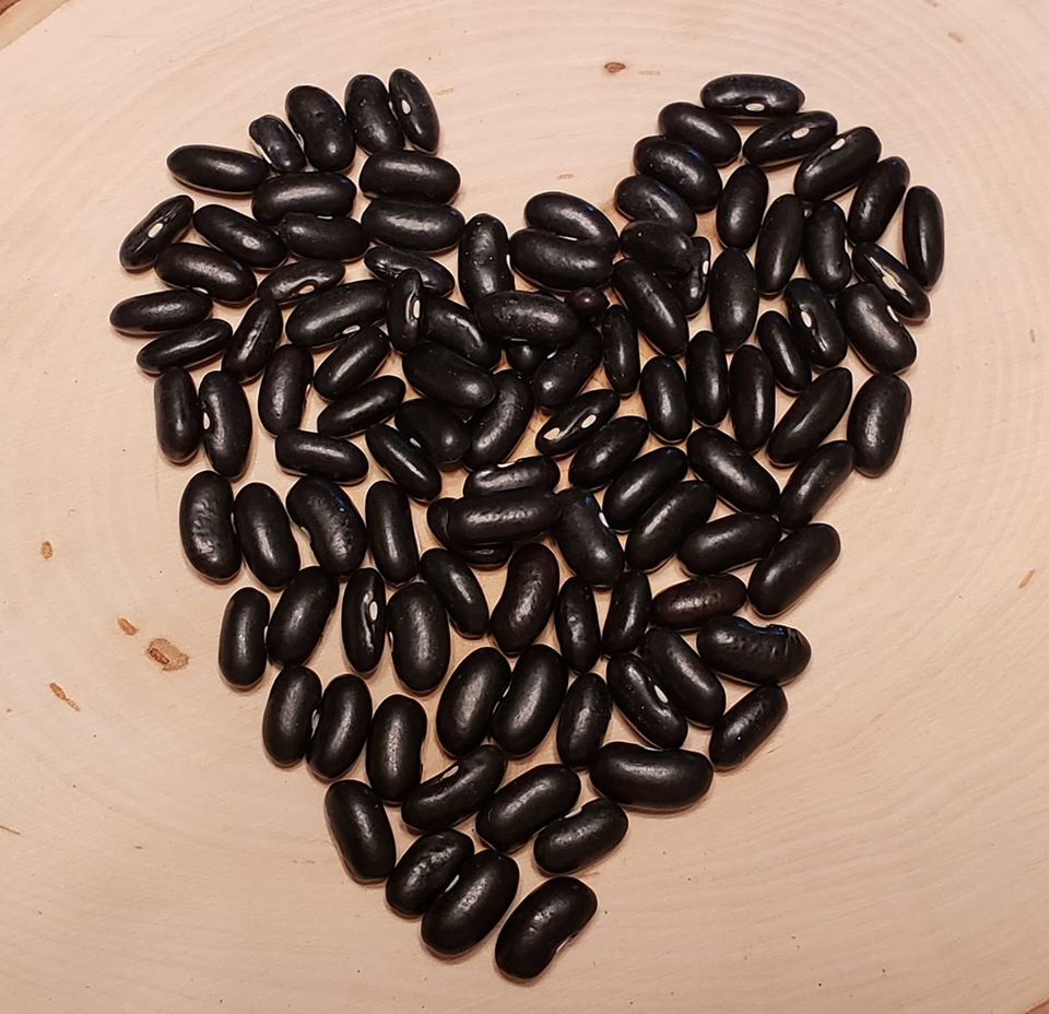 Cherokee Wax Bush Beans