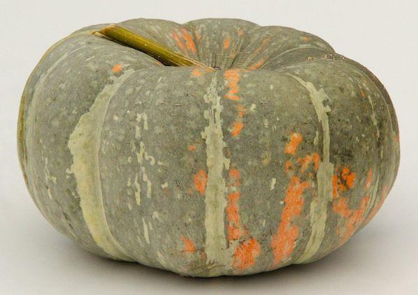 Iran Squash