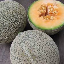 Iroquois Melon