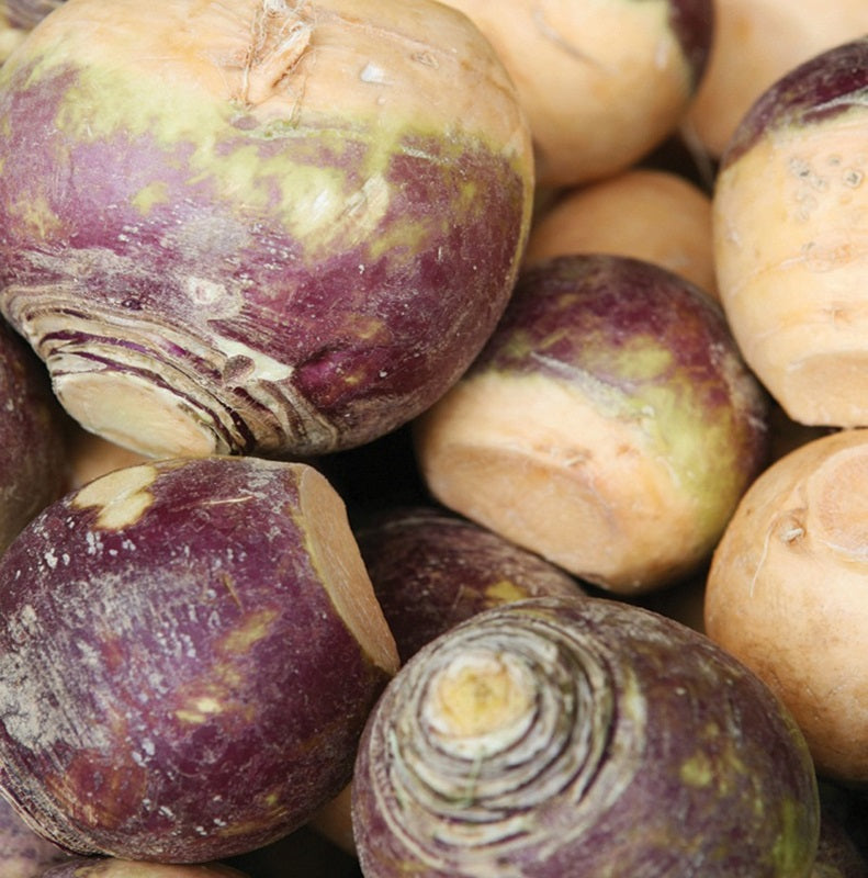 Laurentian Rutabaga