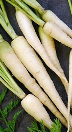 Lunar White Carrots