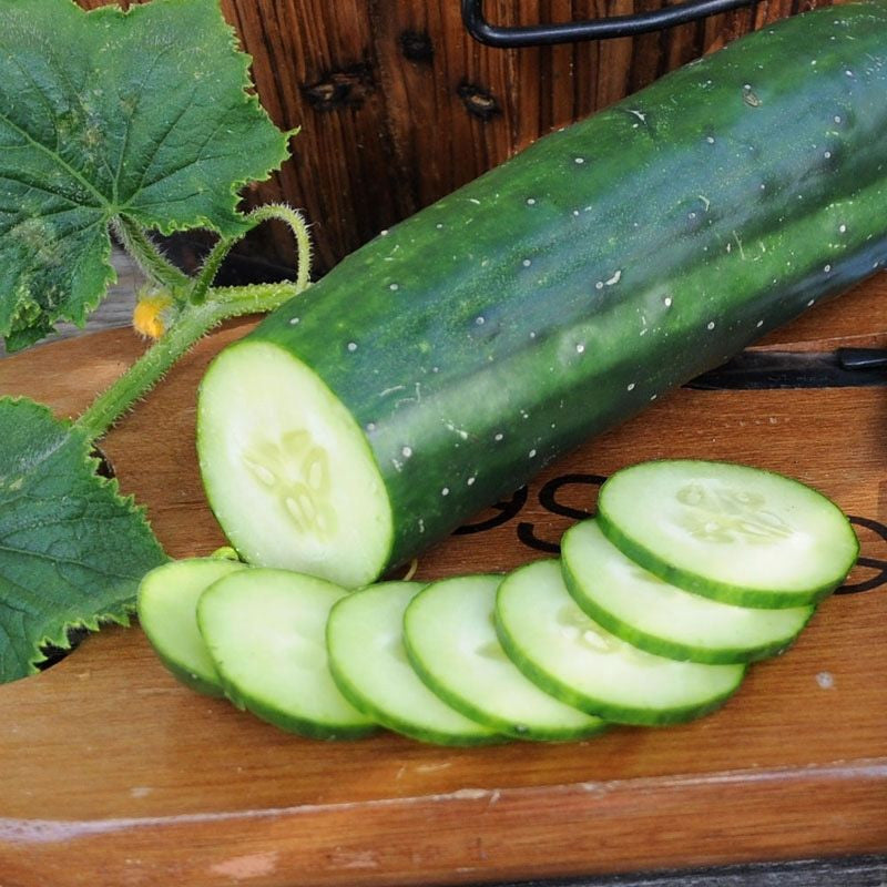 Marketmore Cucumber
