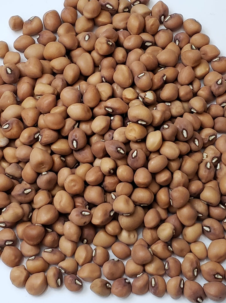 Mississippi Silver Cowpea