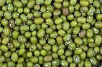 Mung Bean Sprouting Seeds