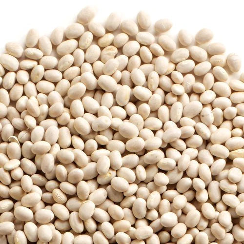 Navy Bean
