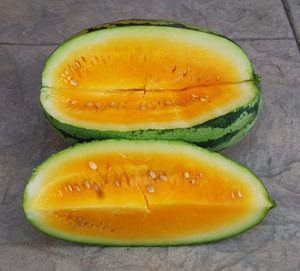 Orangeglo Watermelon