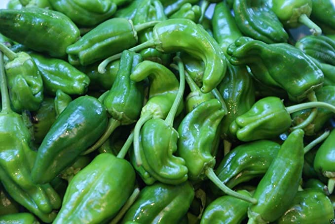 Padron Pepper