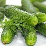 National Pickling Cucumber