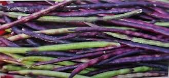 Purple Hull Pinkeye Cowpea