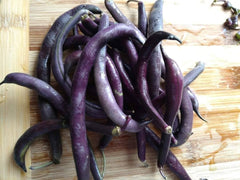 Royalty Purple Podded Bean