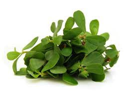 Green Purslane