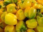 Quadrato D'Asti Giallo Pepper