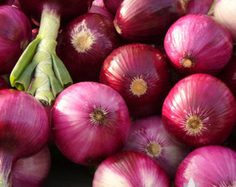 Red Creole Onion
