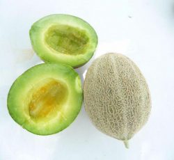 Rocky Ford Green Flesh Melon