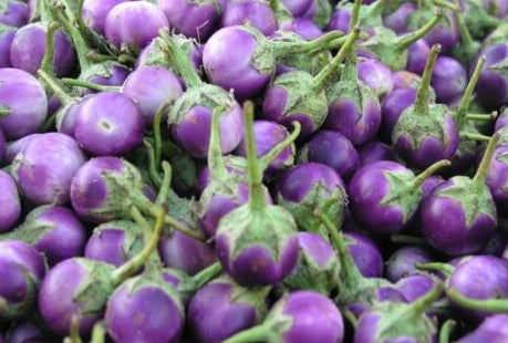 Round Mauve Eggplant