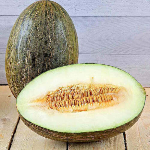 Piel De Sapo Melon Mary's Heirloom Seeds