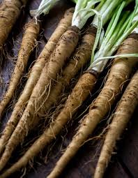 Salsify, Sandwich Island