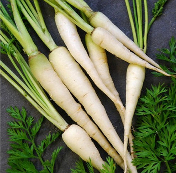 Snow White Carrots