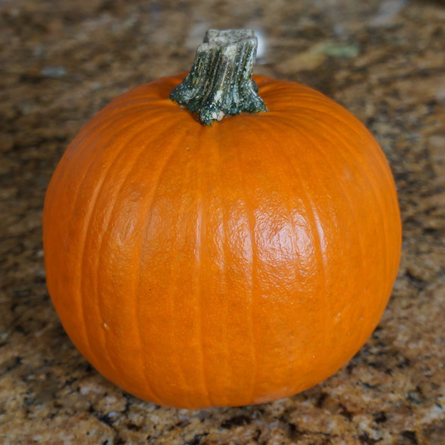 ☆pumpkin pie☆ Amazon.com: FG Square Pumpkin Pie Manufacturing Animated